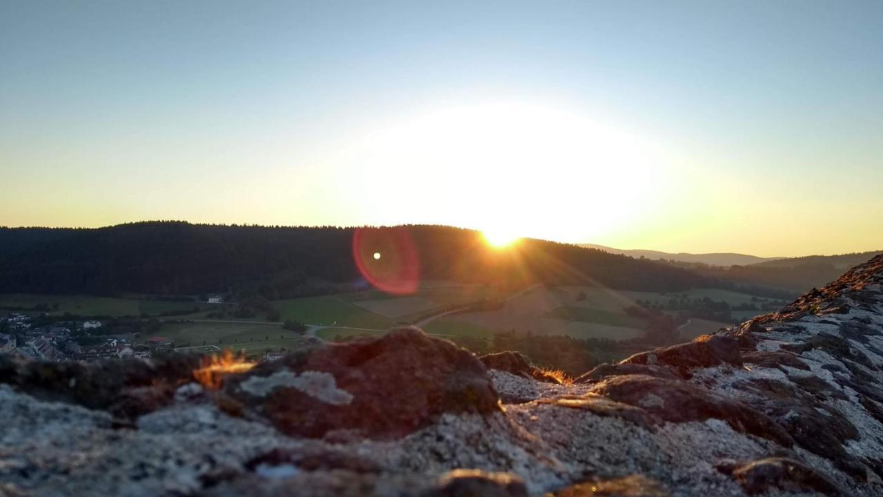 Ferienwohnung Pinzenhof - Kemnath Bagian luar foto